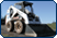 King Machinery Inc::Bobcat Skid Loader ft